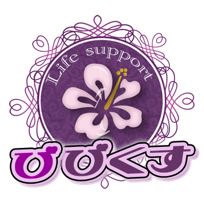 ビビクスマニュアル